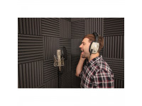 EQ Acoustics Classic Wedge 30cm Tile grey EQ Acoustics Classic Wedge 30cm Tile grey